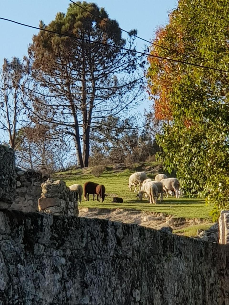 Hotel Rural Mira Serra Mangualde Exteriör bild